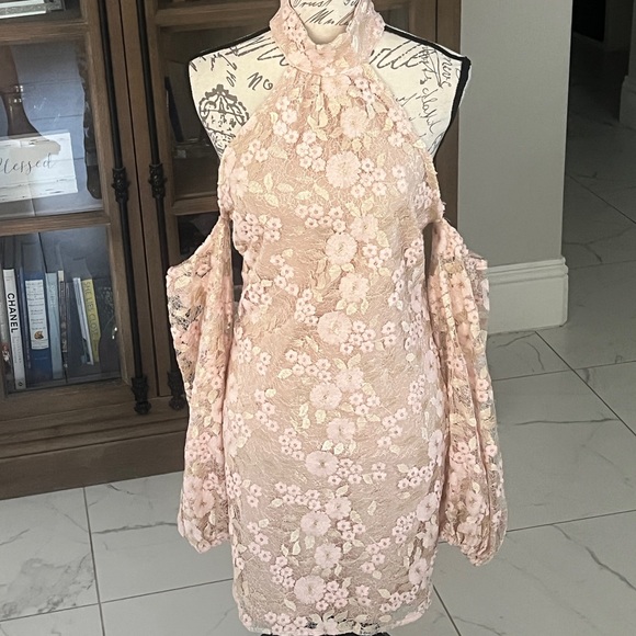 Michael Costello Dresses & Skirts - Michael Costello Blush Floral Lace Long Sleeve Dress